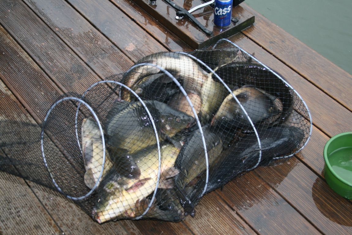 IMG_4384.JPG