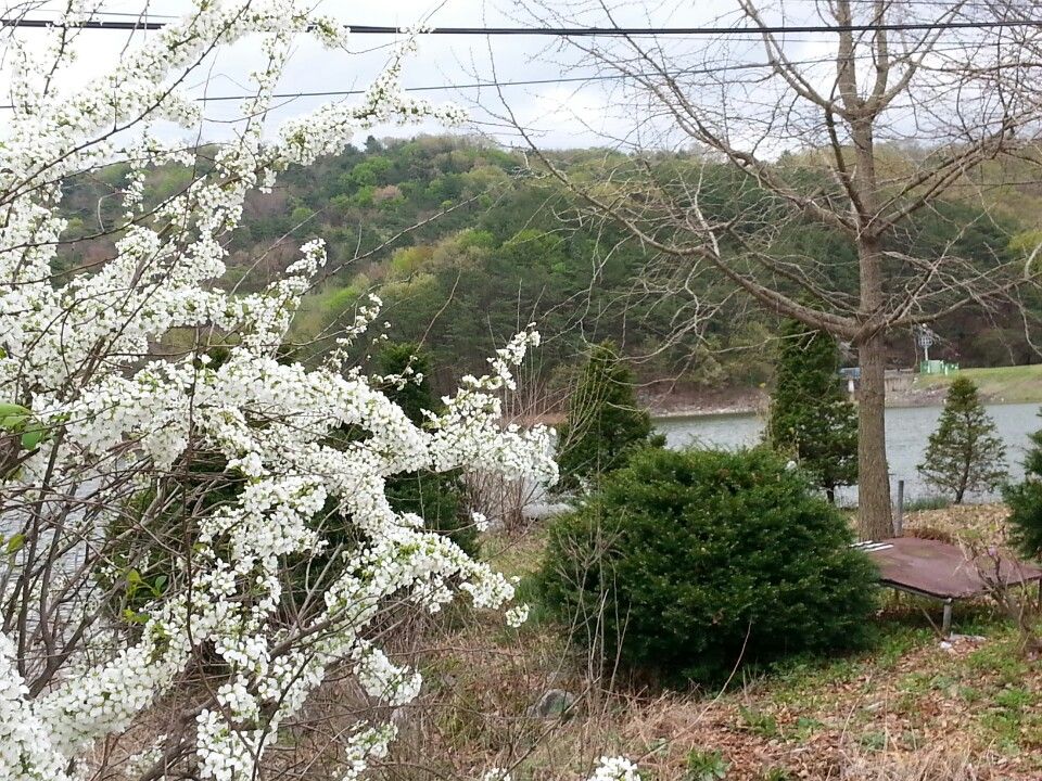 KakaoTalk_20160417_202535443.jpg