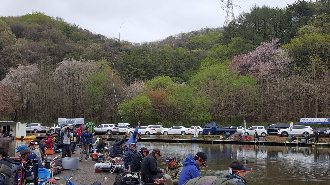 20160417_081233.jpg