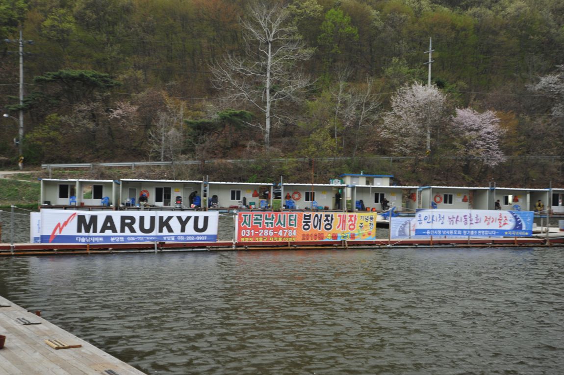 DSC_3548.JPG