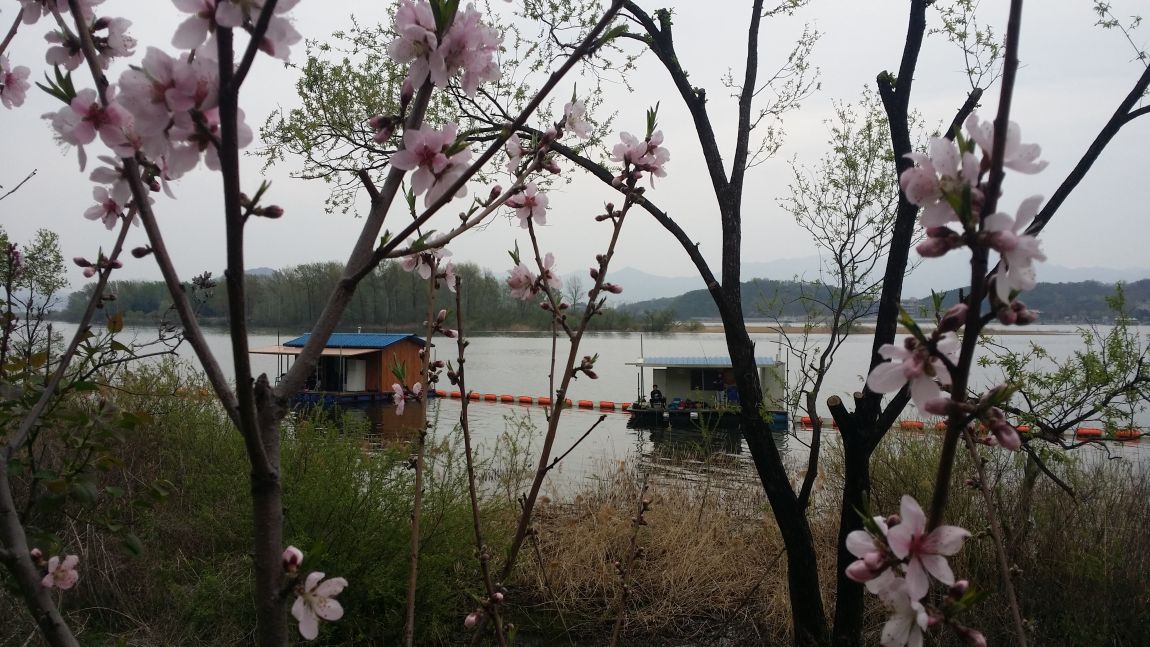 20160416_162553.jpg