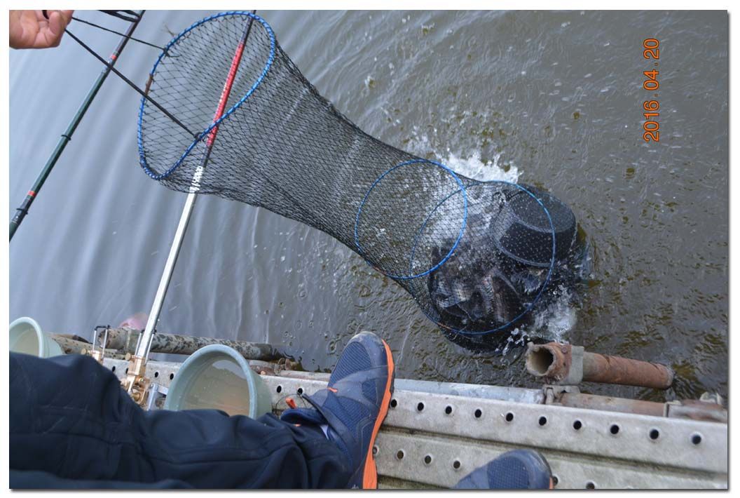 Untitled-1 copy 2.jpg