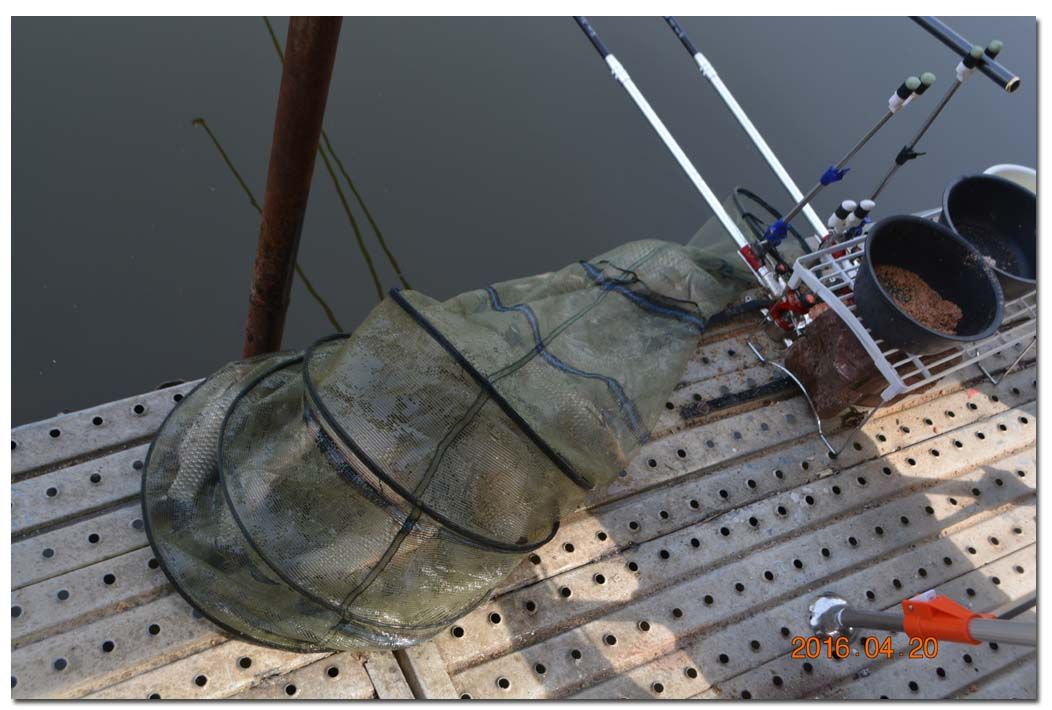 Untitled-1 copy 3.jpg