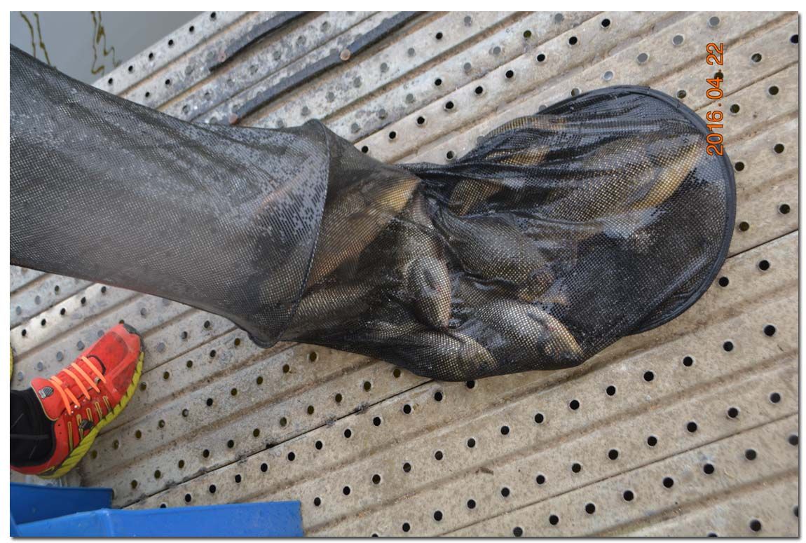 Untitled-1 copy 10.jpg