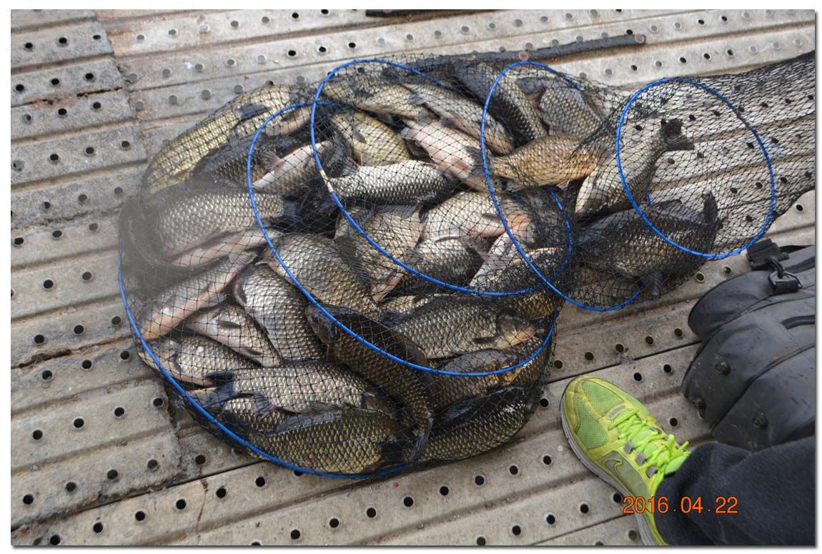 Untitled-1 copy 11.jpg