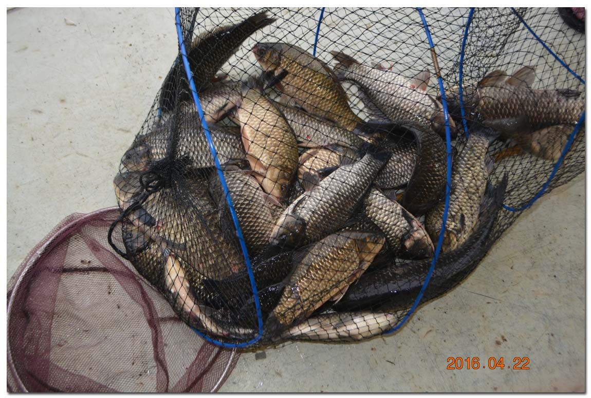 Untitled-1 copy 14.jpg