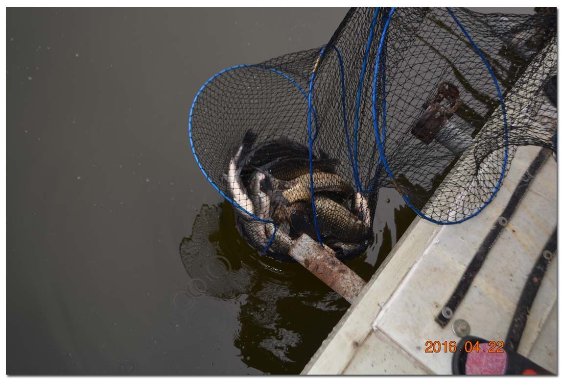 Untitled-1 copy 16.jpg