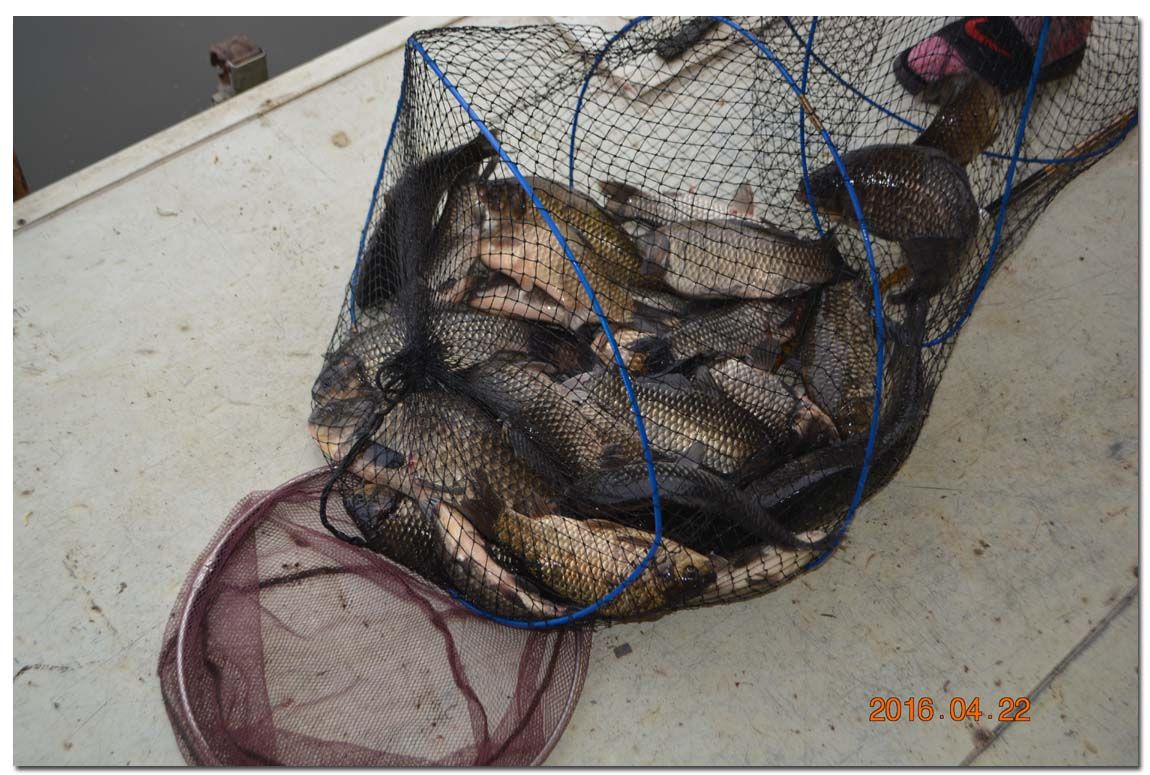 Untitled-1 copy 15.jpg