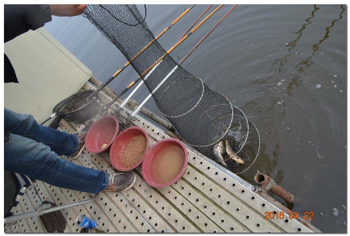 Untitled-1 copy 7.jpg