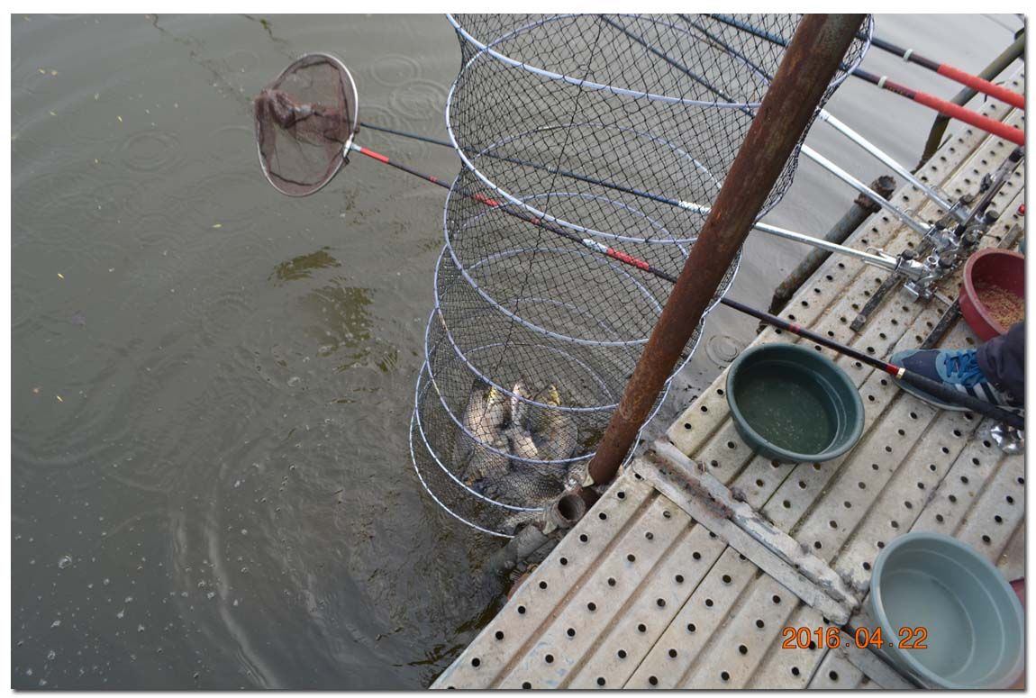 Untitled-1 copy 8.jpg