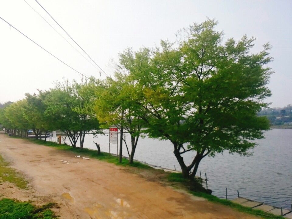 KakaoTalk_20160422_094150587.jpg