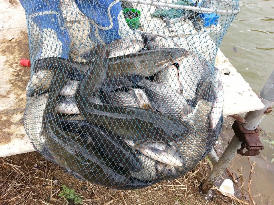 KakaoTalk_20160417_202823288.jpg