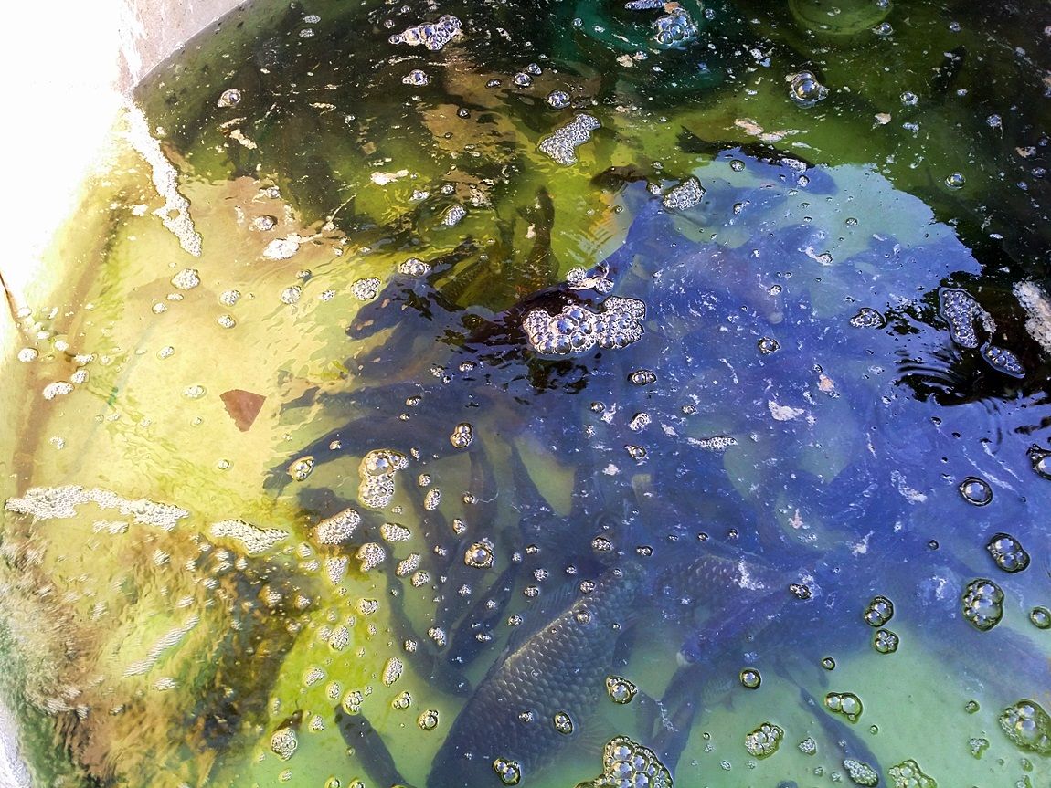 20160419_170541.jpg