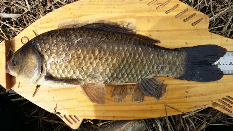 ũ⺯ȯ_20160424_102115.jpg