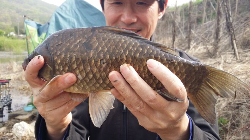 ũ⺯ȯ_20160423_153723.jpg