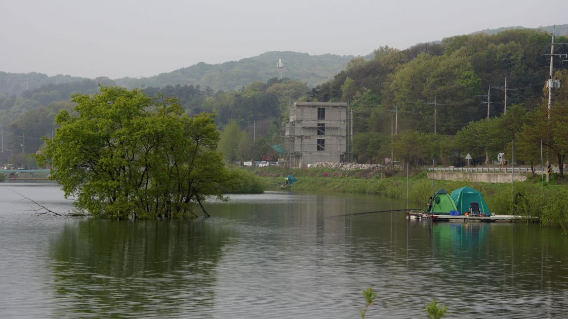 DSC02853-d.jpg