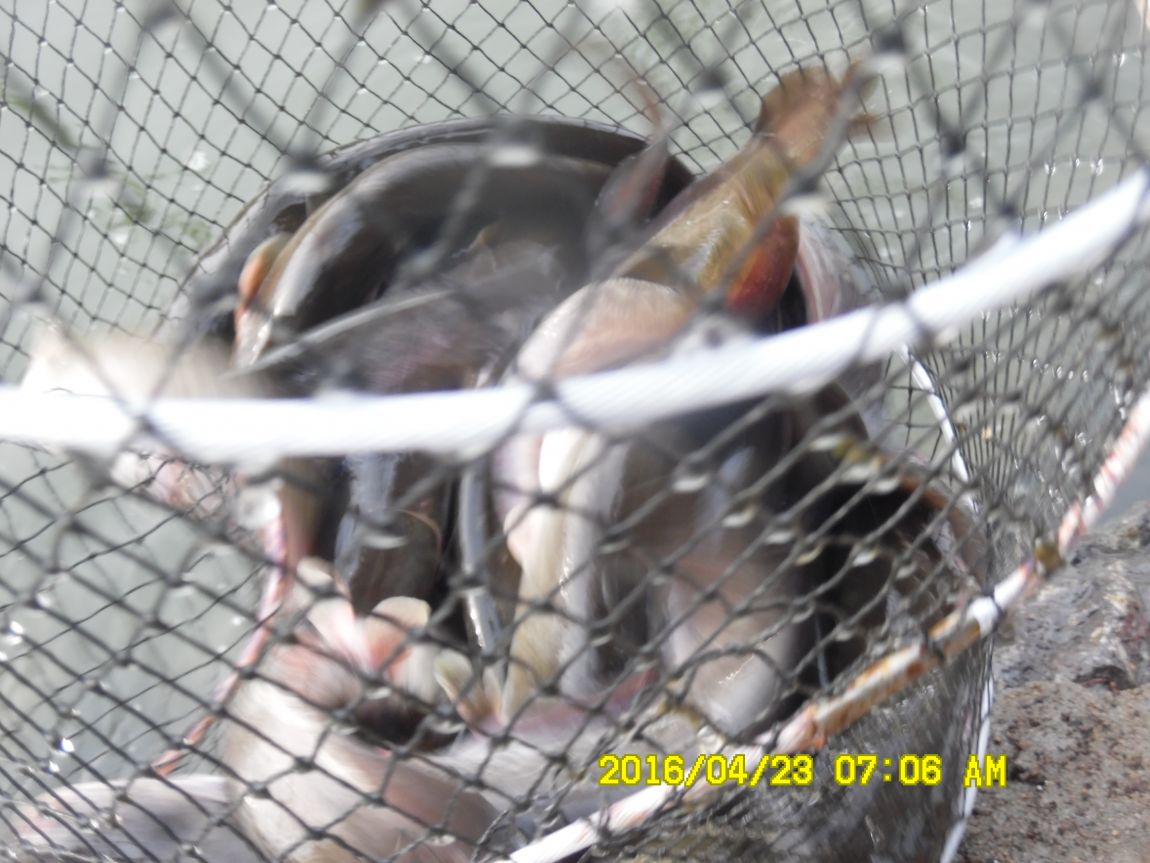 4��24�� 001.JPG