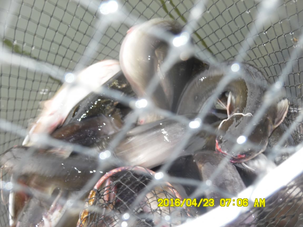 4��24�� 002.JPG