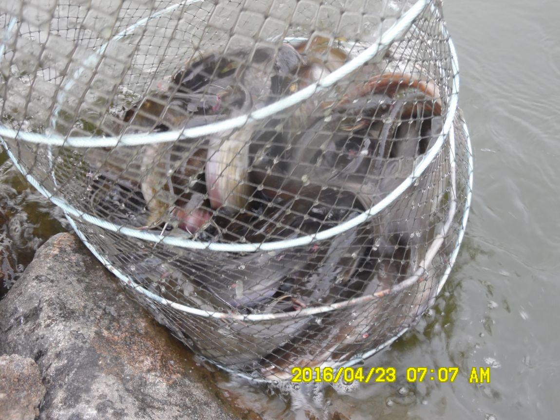 4��24�� 003.JPG