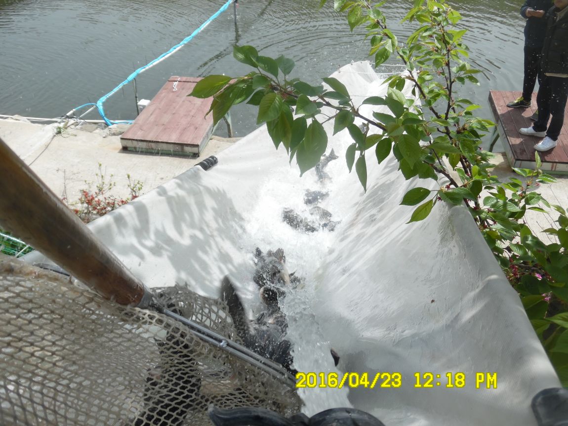 4��24�� 007.JPG