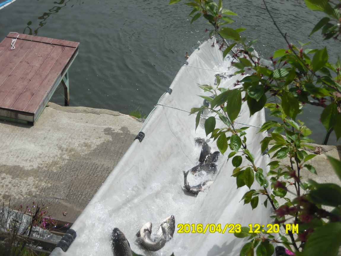 4��24�� 015.JPG