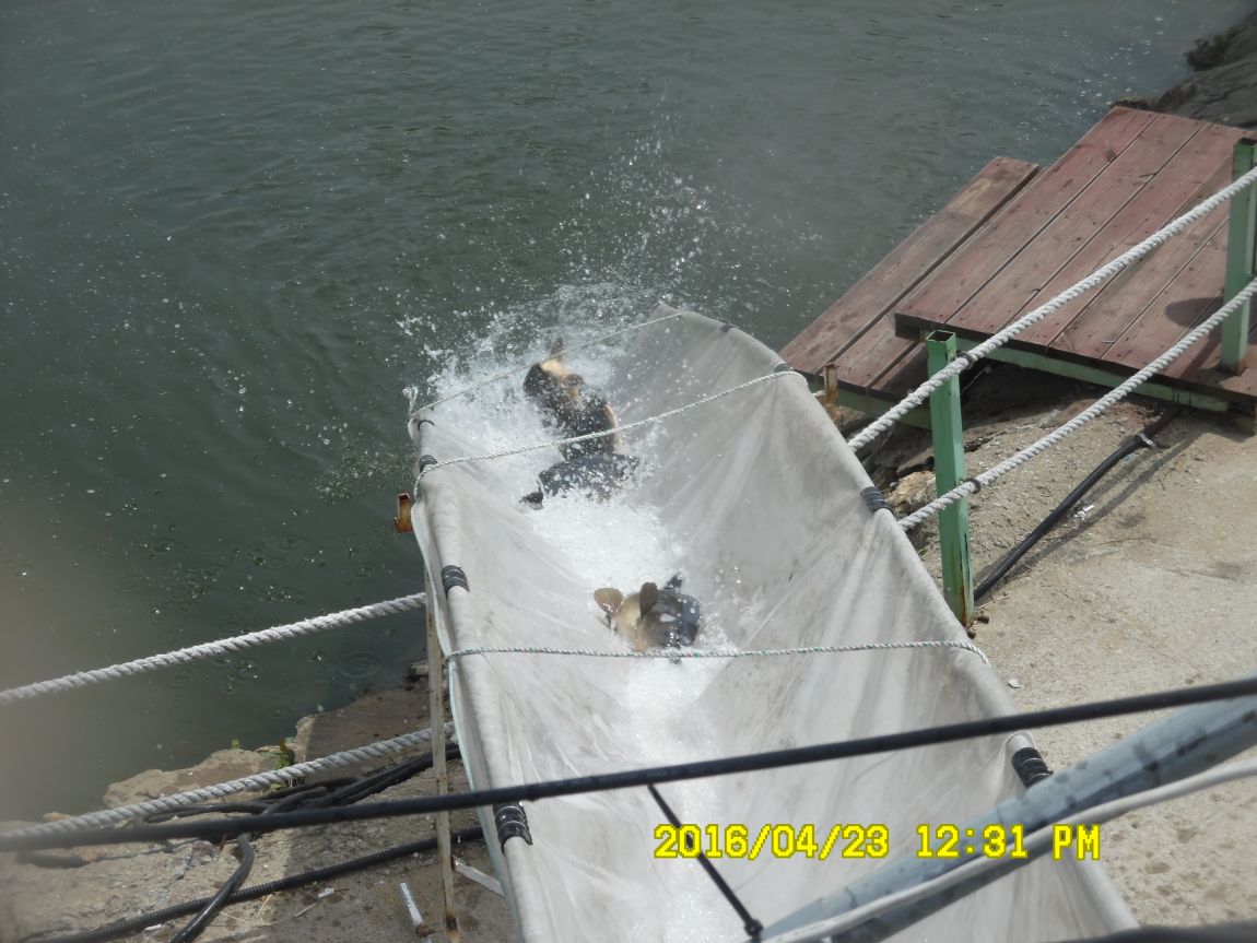 4��24�� 021.JPG