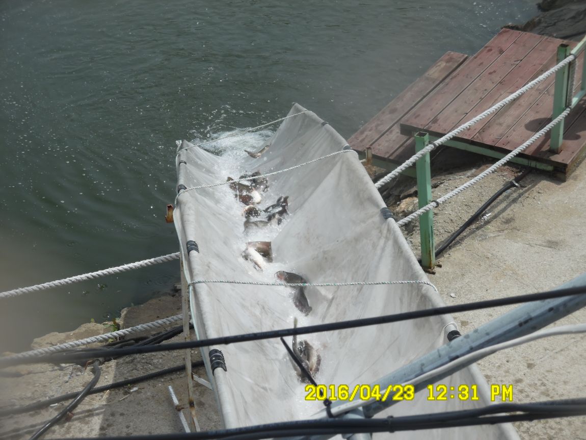 4��24�� 022.JPG