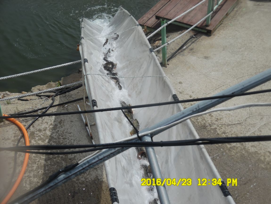 4��24�� 026.JPG