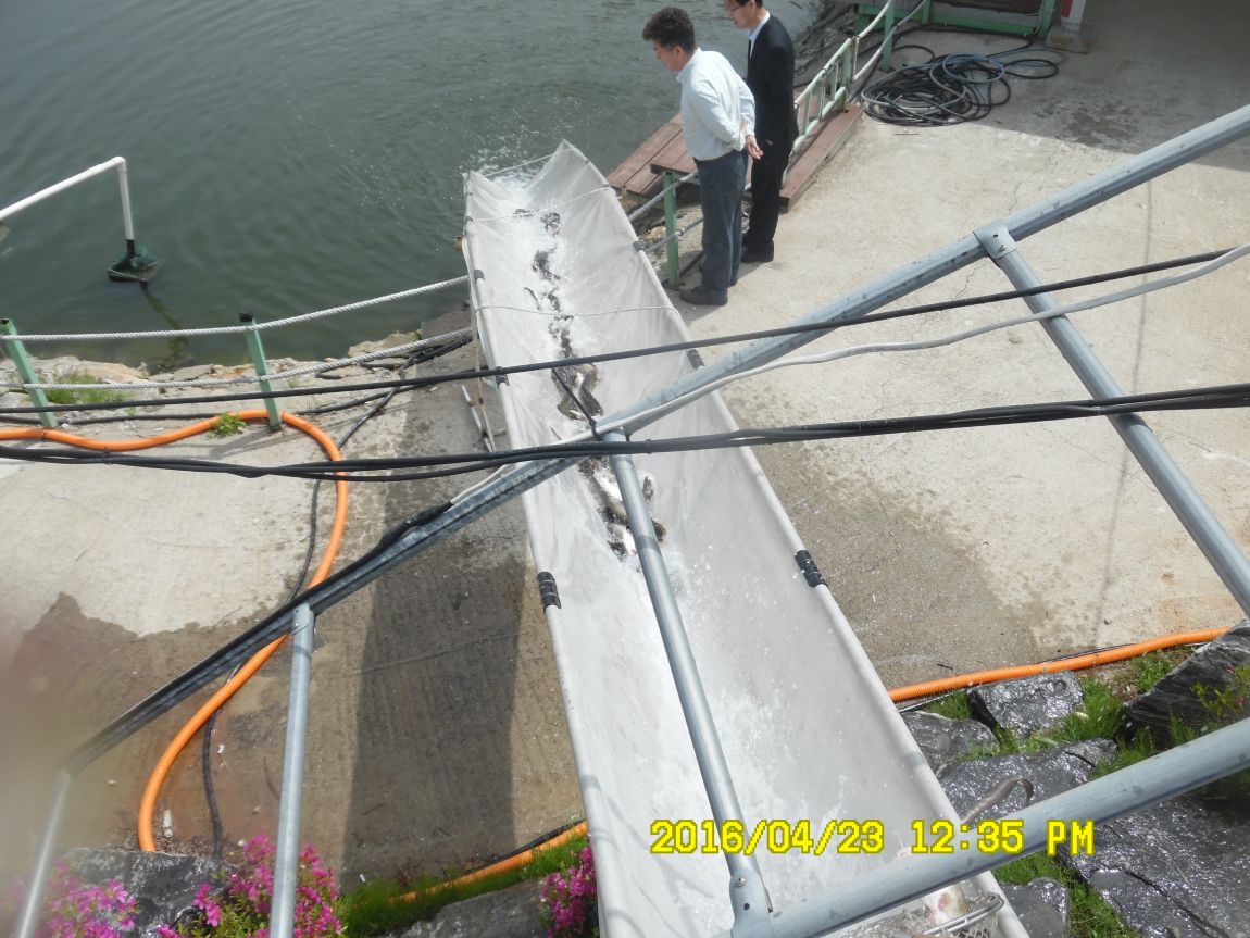 4��24�� 028.JPG