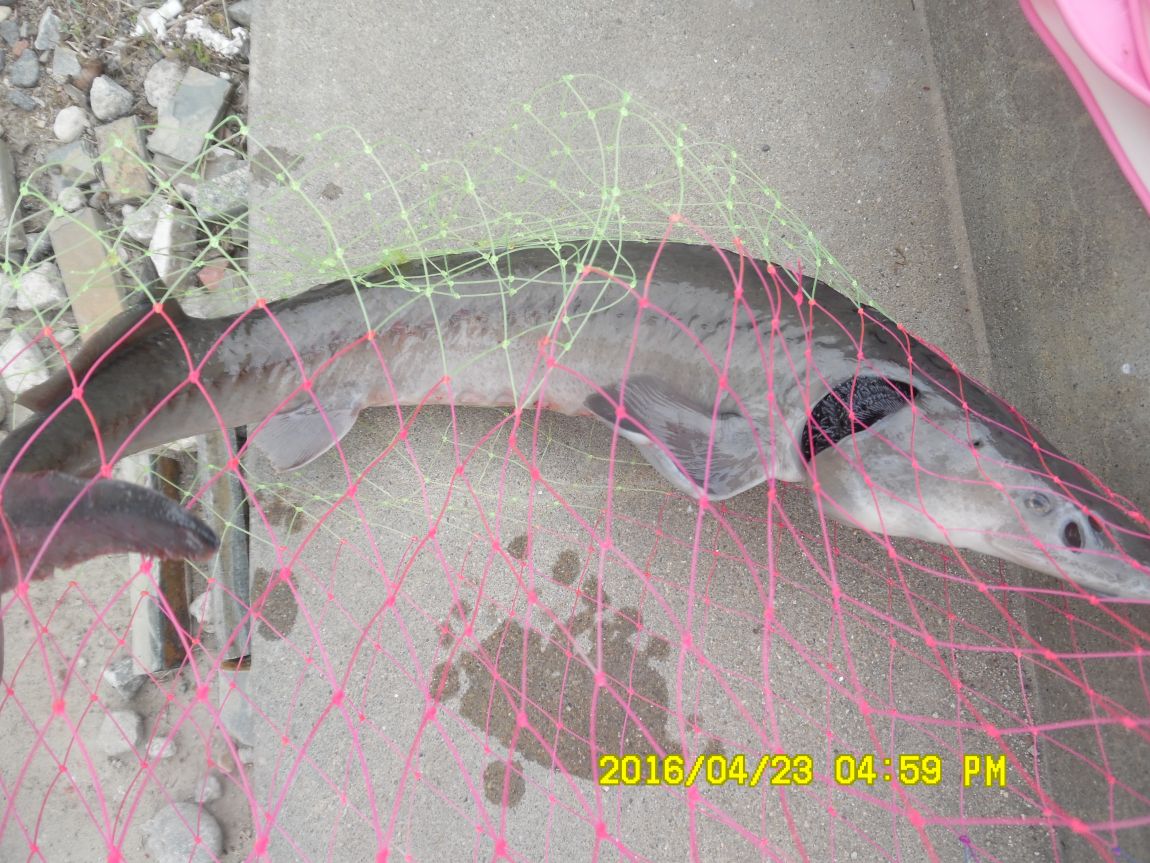 4��24�� 030.JPG