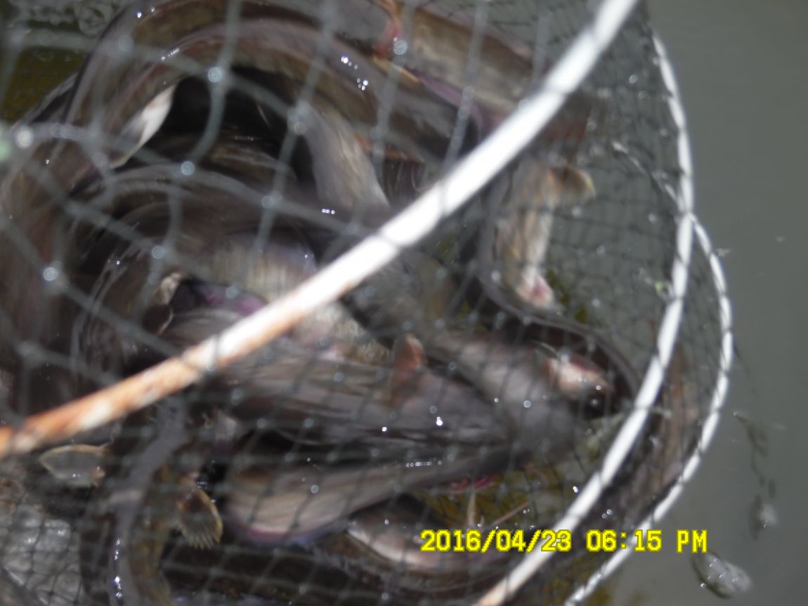 4��24�� 032.JPG