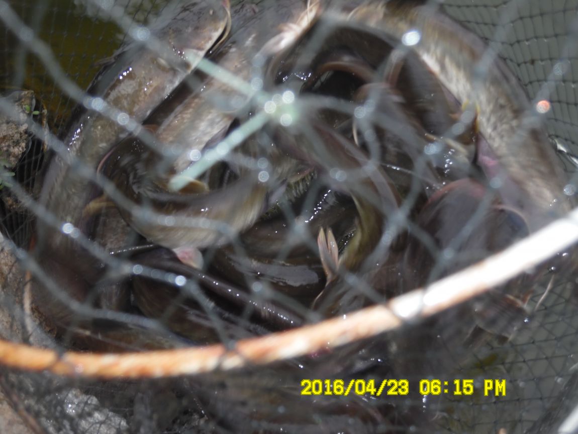 4��24�� 033.JPG