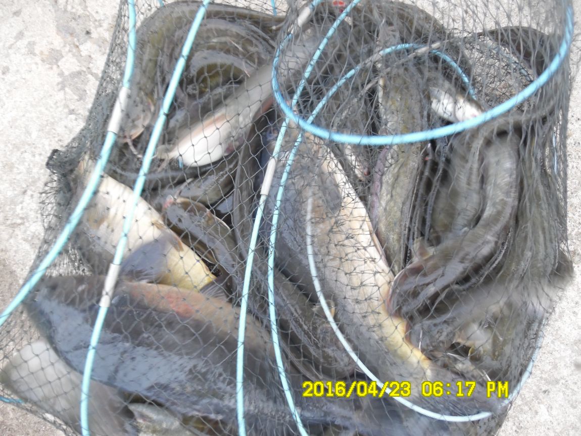 4��24�� 035.JPG