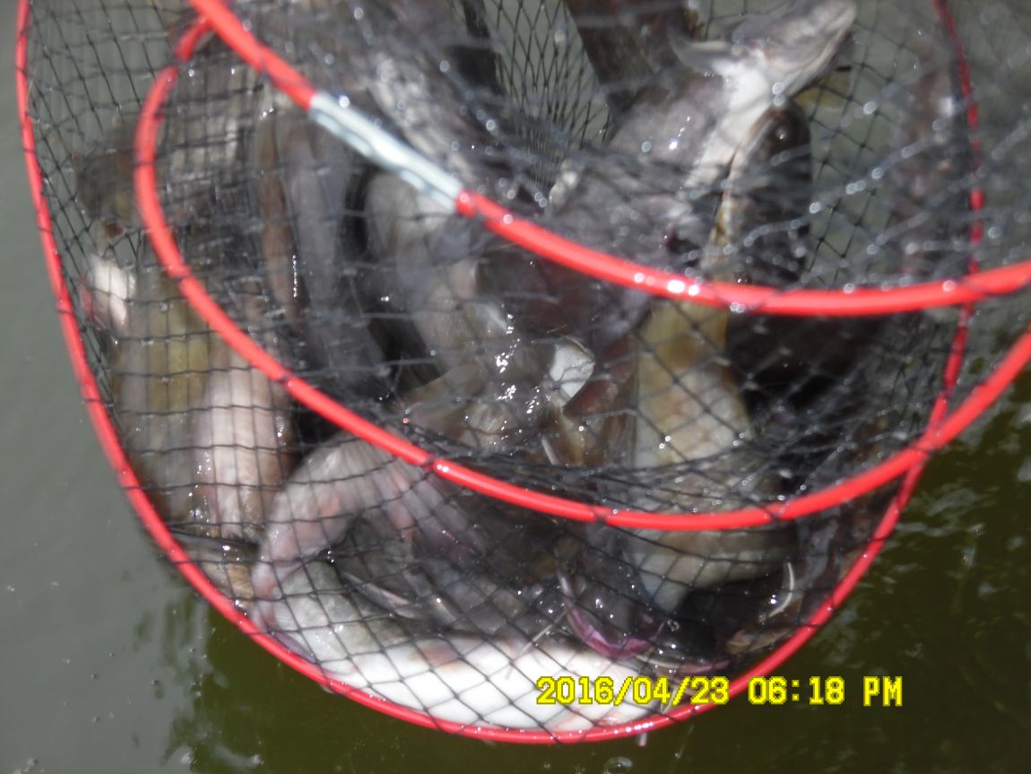 4��24�� 036.JPG