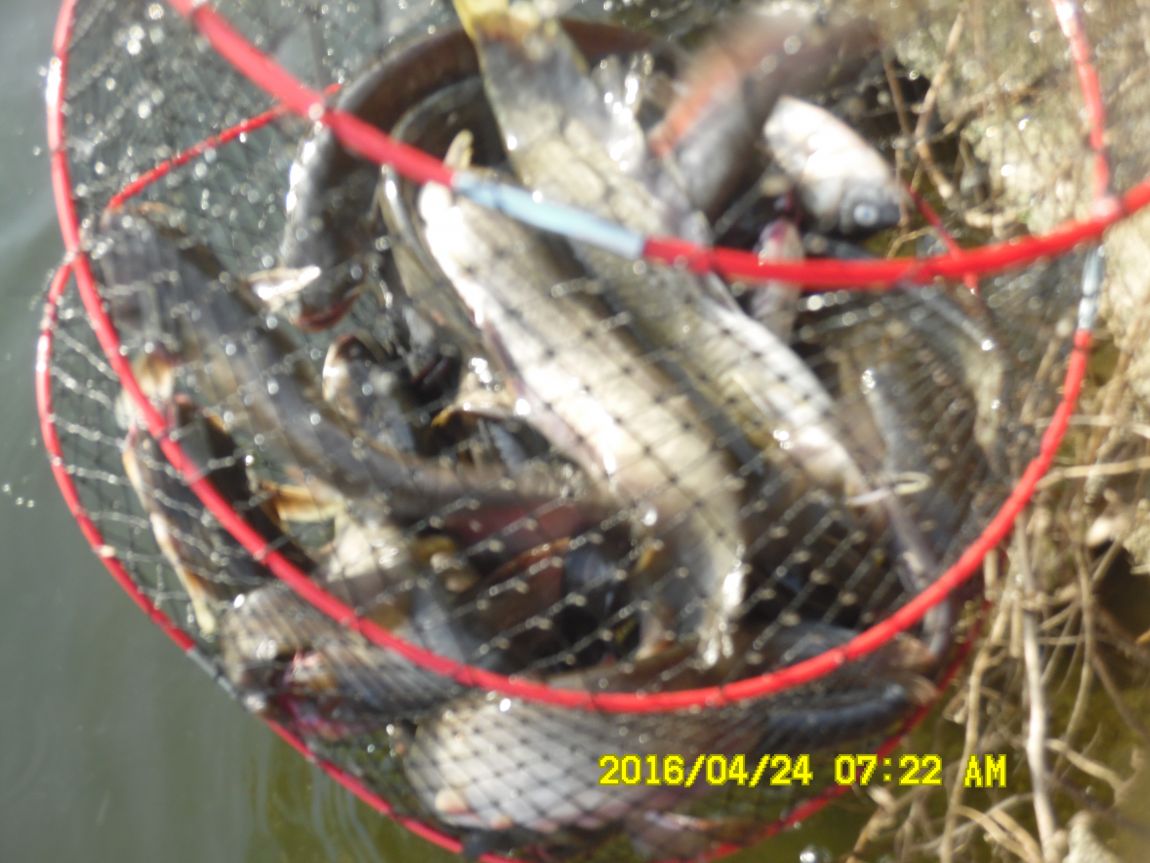 4��24�� 039.JPG