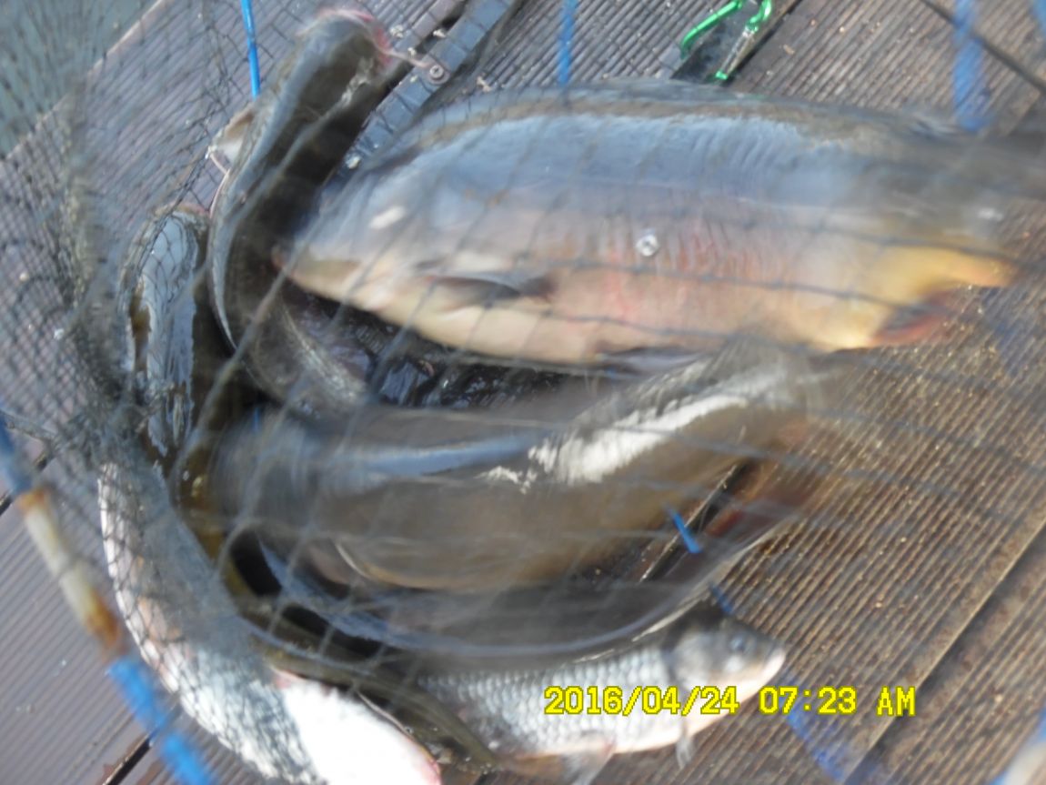 4��24�� 040.JPG