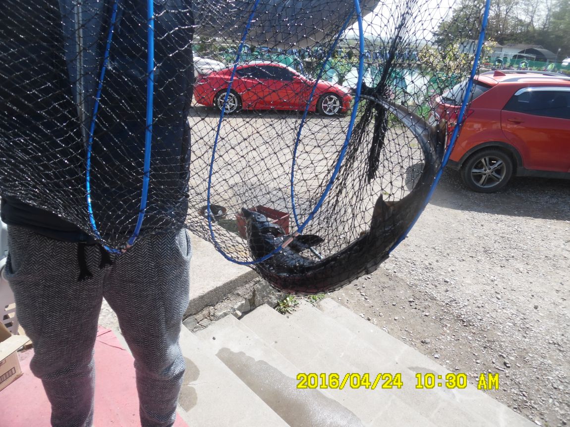 4��24�� 043.JPG