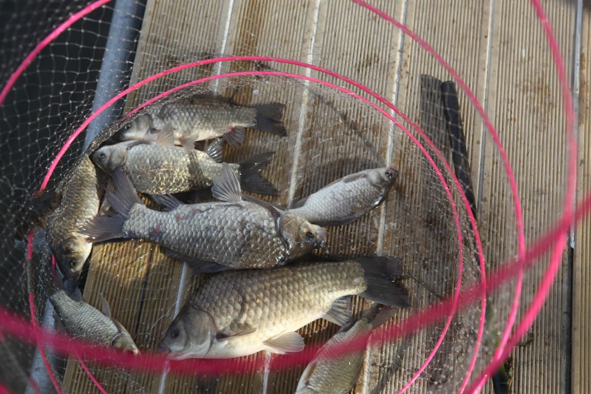 IMG_0832.JPG