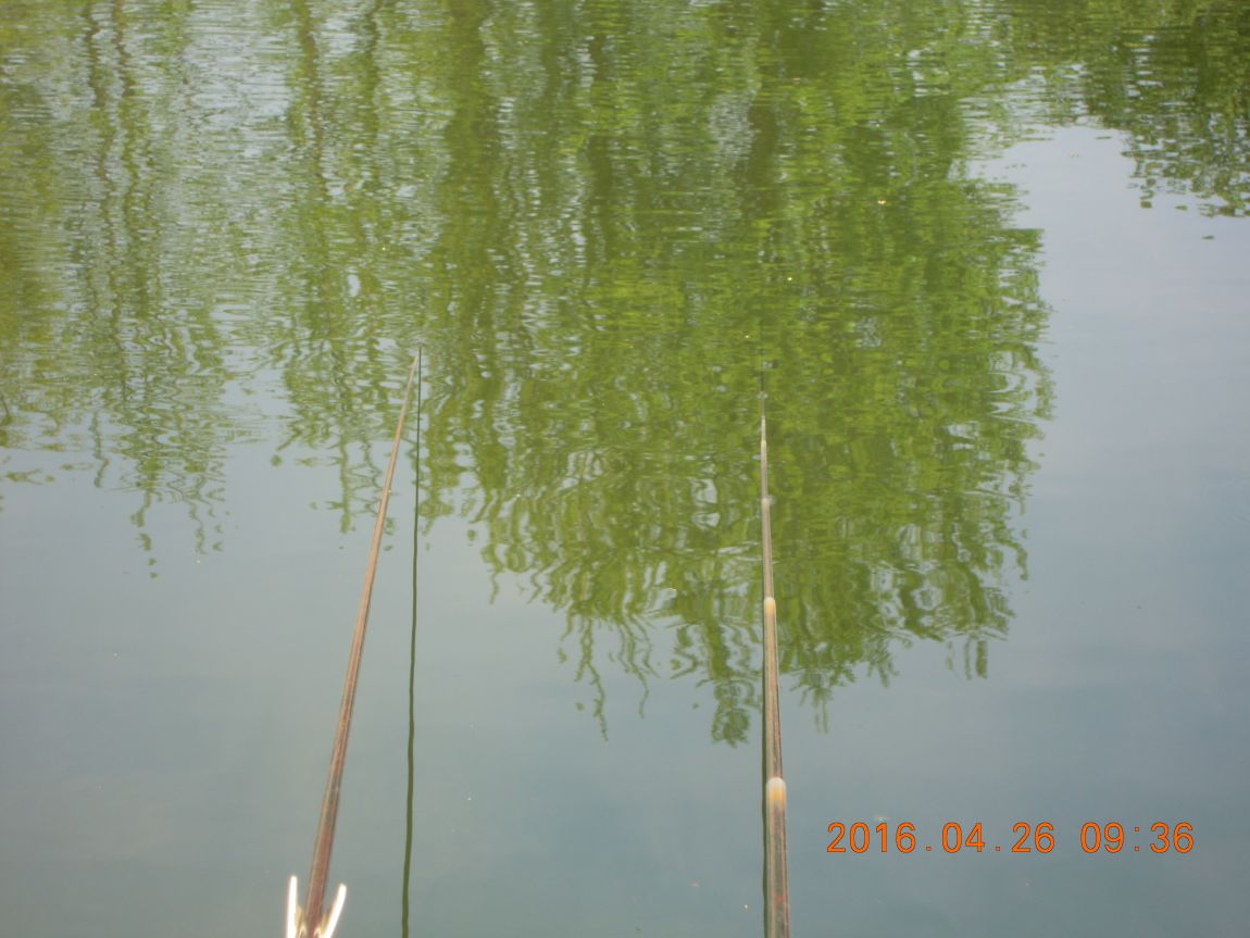 DSCN0752.JPG