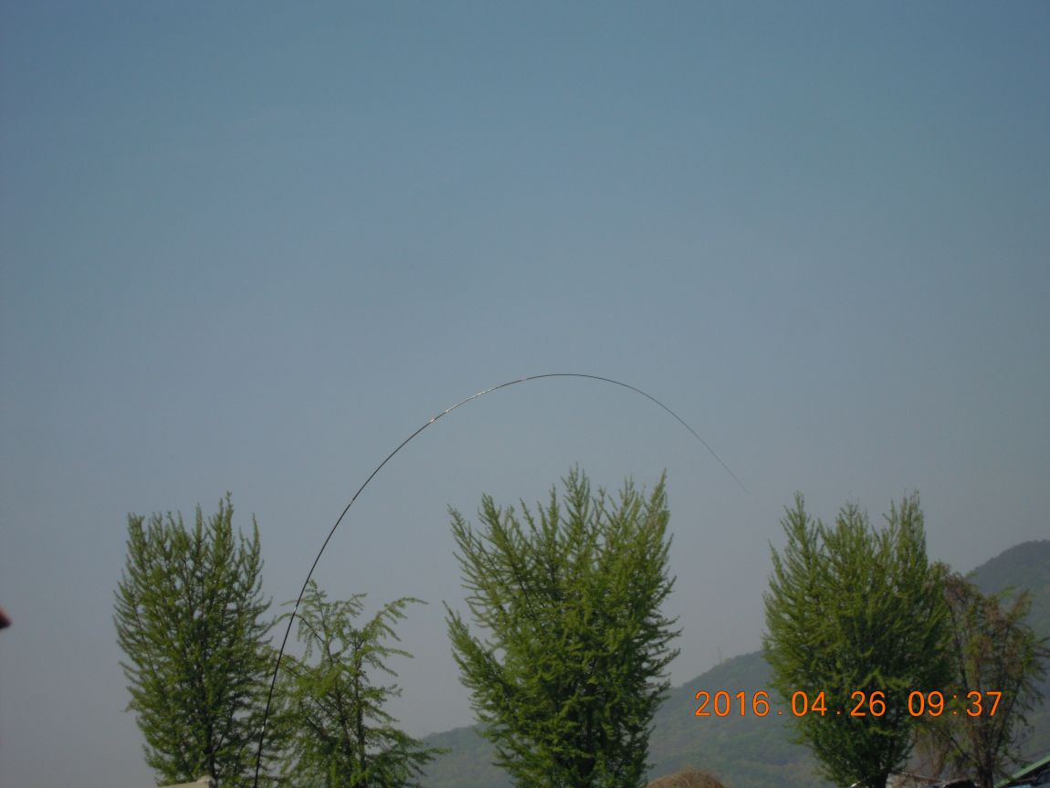 DSCN0753.JPG