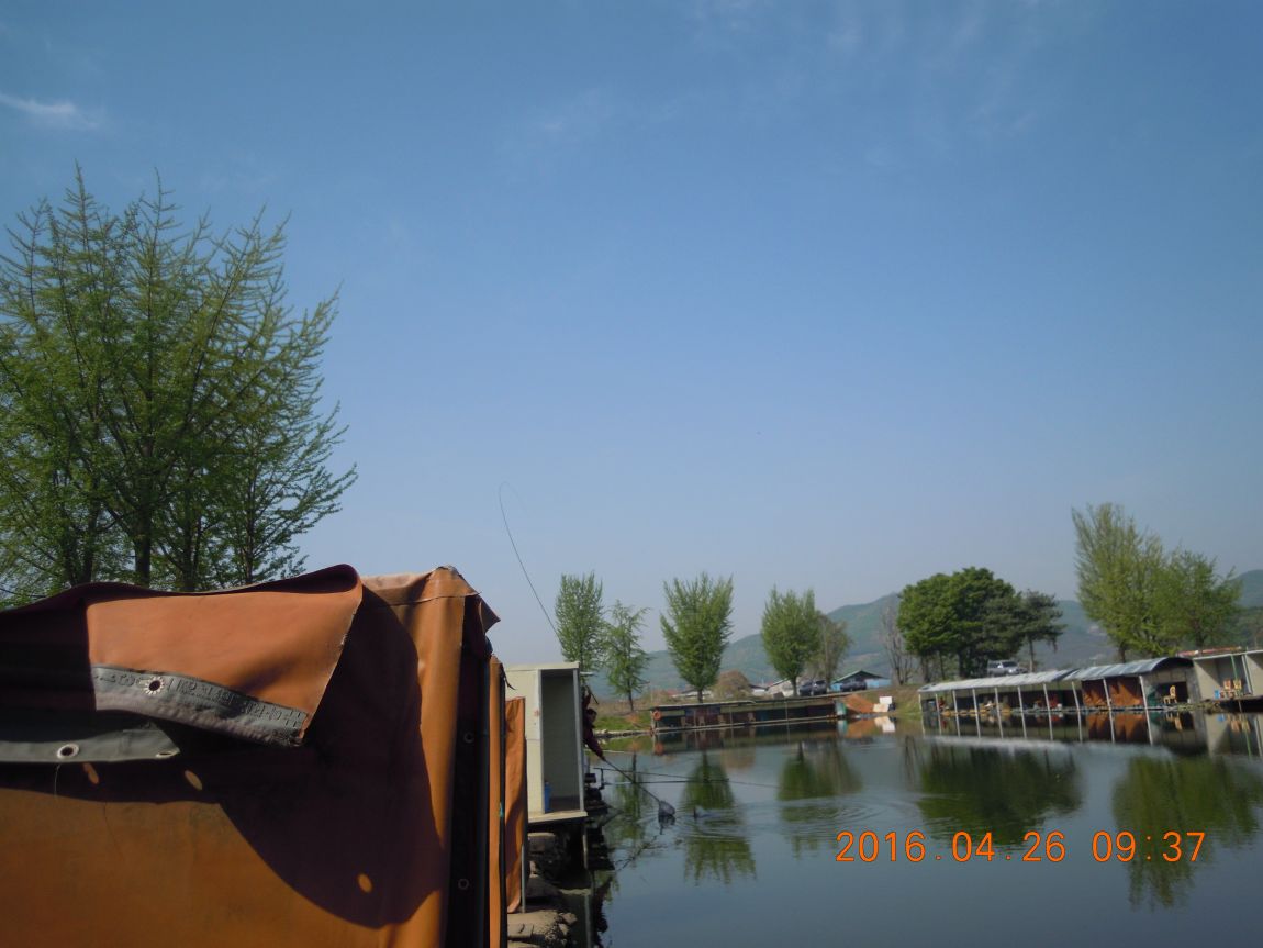 DSCN0754.JPG