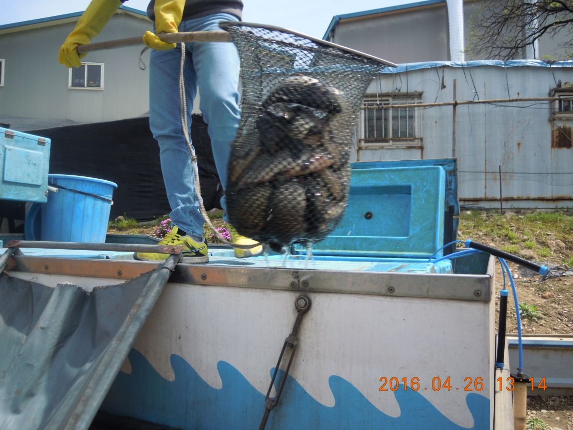 DSCN0755.JPG