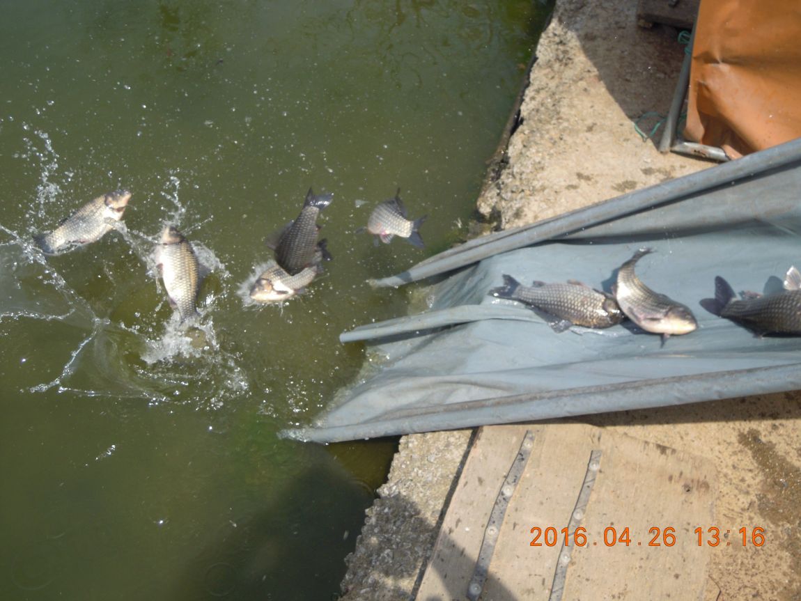 DSCN0763.JPG