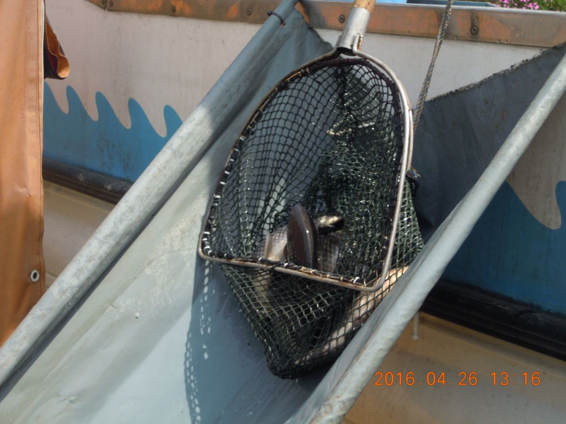 DSCN0764.JPG
