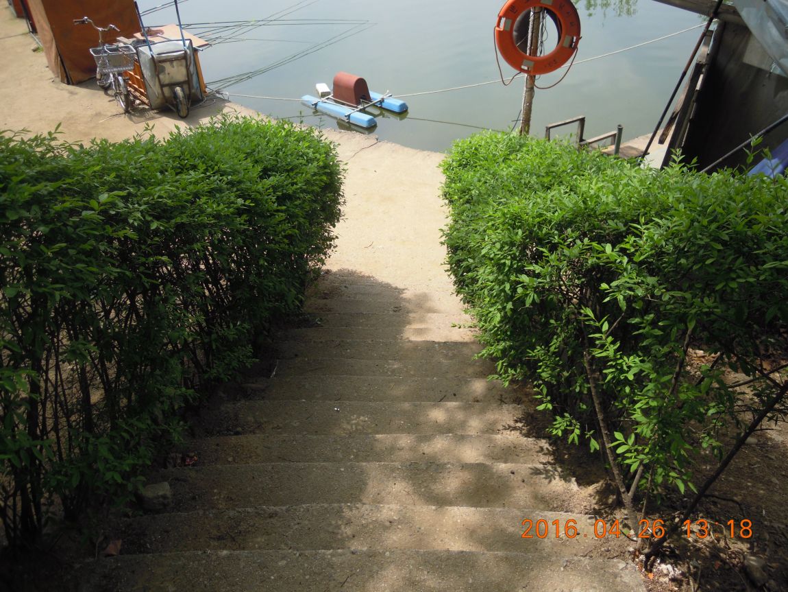 DSCN0768.JPG