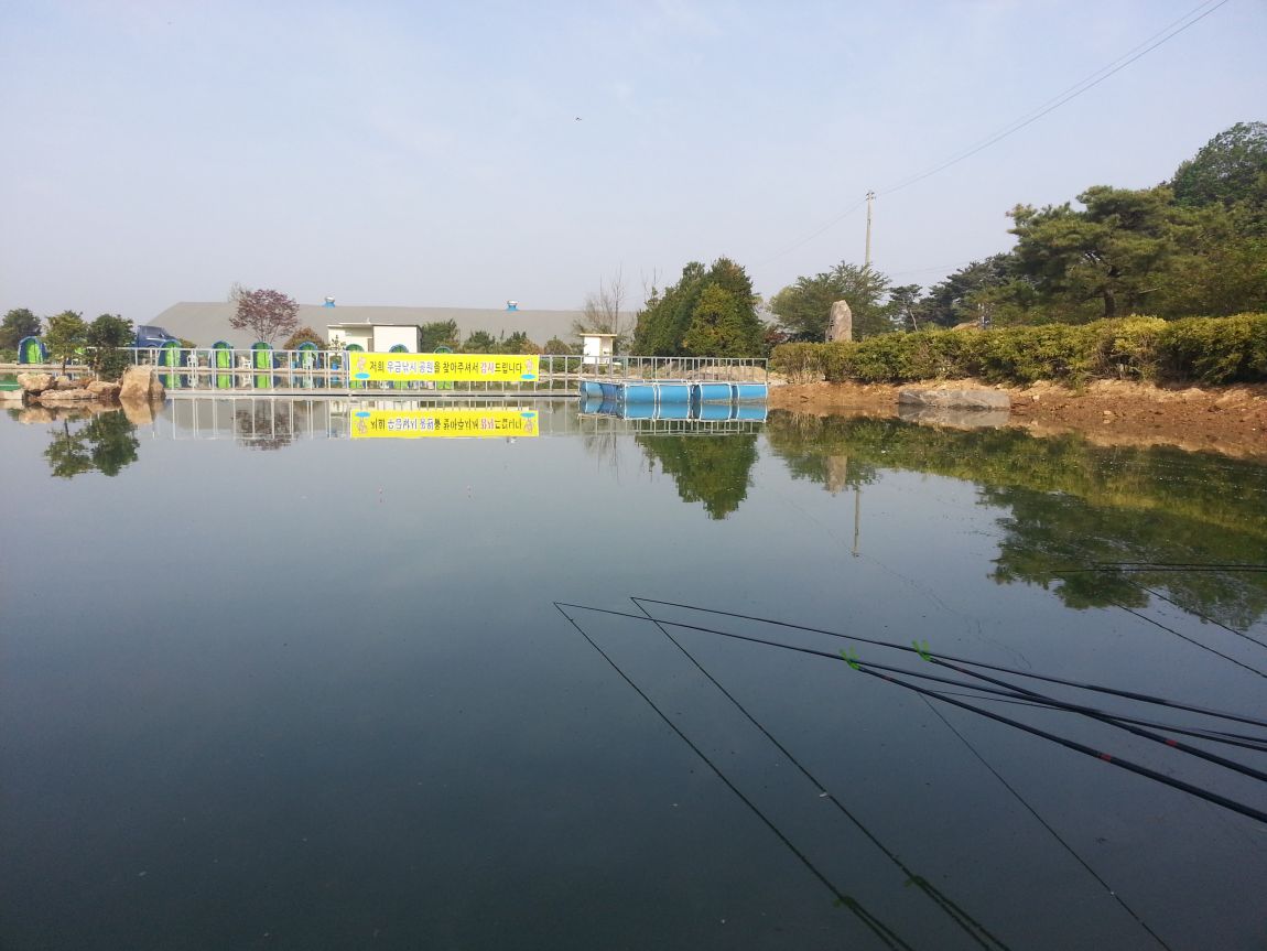 20160426_082110.jpg