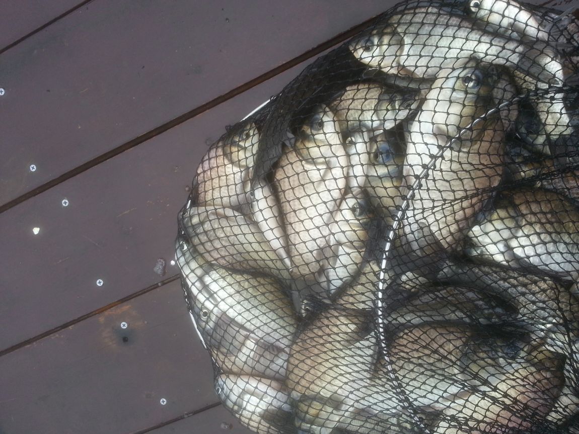 20151210_145556.jpg