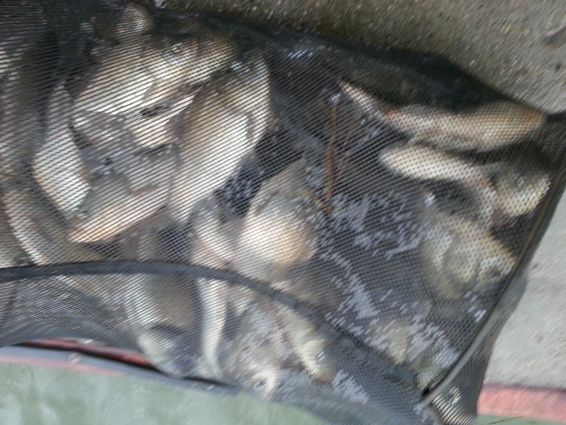 20160417_073832.jpg