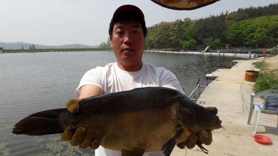KakaoTalk_20160426_173645587.jpg