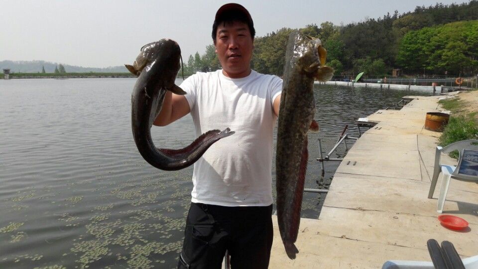KakaoTalk_20160426_173646701.jpg
